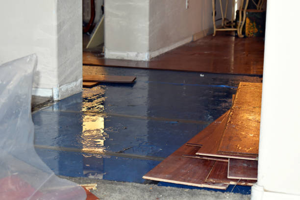 Professional Basement Flood Cleanup technician working in Shaw Island, WA